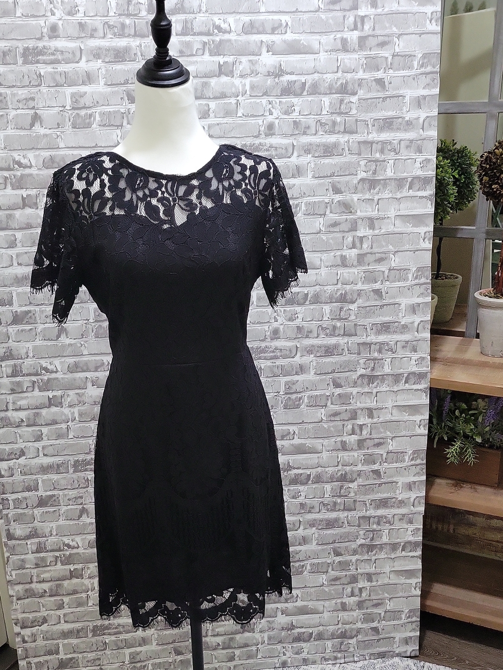 MSLG Little Black Dress Cocktail Party Floral Lace Lined Short Sleeve Size M